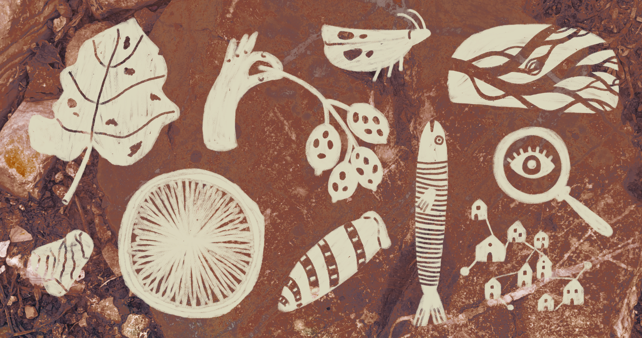 Illustrazione di tutte le aree comprese in Bioverse