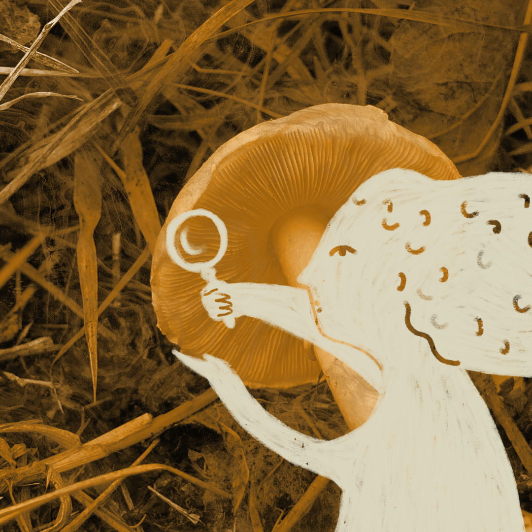 Disegno di una ragazza che cerca tra i funghi